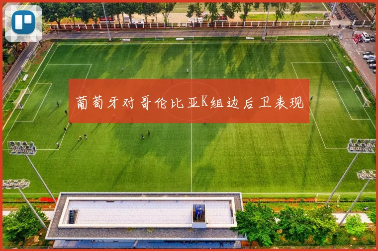 葡萄牙对哥伦比亚K组边后卫表现