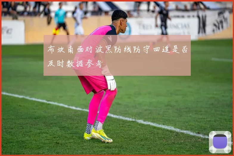 布坎南面对波黑防线防守回追是否及时数据参考