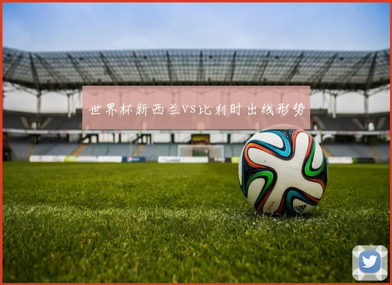 世界杯新西兰vs比利时出线形势
