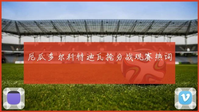 厄瓜多尔科特迪瓦抢分战观赛热词
